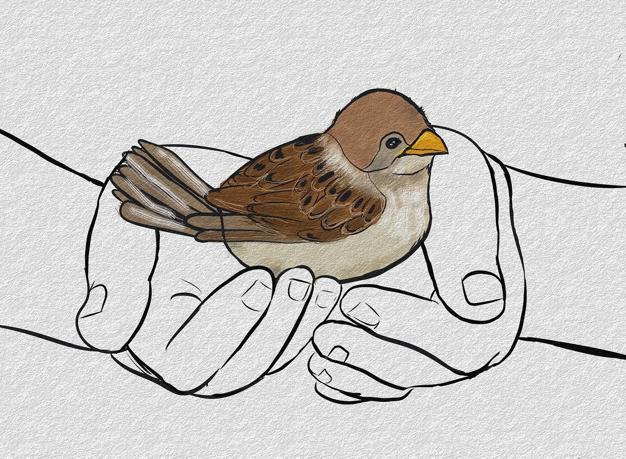 ontdek de beschermde vogelsoorten in nederland, hun leefgebieden en de maatregelen die worden genomen om hun voortbestaan te waarborgen. leer meer over de unieke biodiversiteit en hoe jij kunt bijdragen aan hun bescherming.
